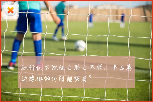 独行侠东欧组合磨合不顺,季后赛边缘徘徊何时能破局?
