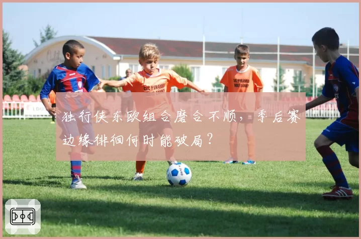 独行侠东欧组合磨合不顺,季后赛边缘徘徊何时能破局?
